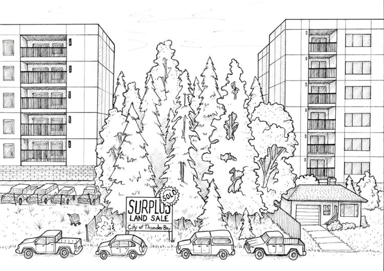 Surplus Land for Sale Political Cartoon